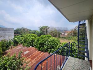 JuayúaHostal Carolinas的房屋的阳台,有楼梯和灌木丛