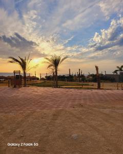 拉斯苏德尔Tavira Resort的公园里棕榈树的日落