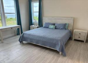 North Palmetto PointTwin Coves Tranquility: Private Beachfront Estate的一间卧室配有一张带蓝色毯子的床和两个窗户。