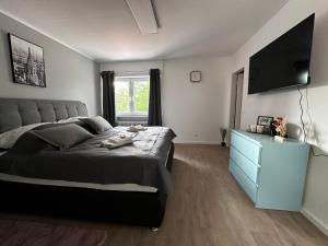 施韦青根Premium Apartments Schwetzingen, Heidelberg, Speyer的卧室配有一张床,墙上配有电视