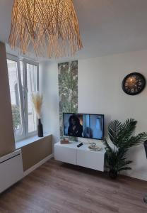蓬塔穆松New jungle studio cœur de ville的客厅配有平面电视和植物
