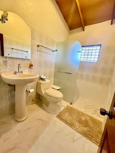 哈拉瓦科阿Oasis Dońa Elena的浴室配有卫生间、盥洗盆和淋浴。