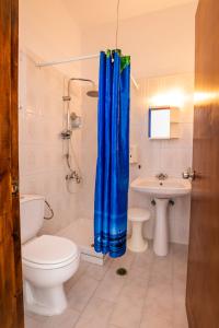 阿莫皮Perama Hotel, Karpathos的浴室设有卫生间和蓝色的浴帘。