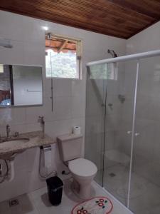 布埃诺布兰当Chalés Recanto das Flores的浴室配有卫生间、淋浴和盥洗盆。