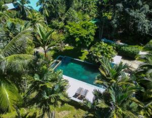 卡维塔Passion Fruit Lodge的棕榈树游泳池的空中景致