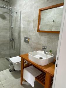 达特恰MAVİ ROTA BUTİK OTEL的一间带水槽、淋浴和卫生间的浴室