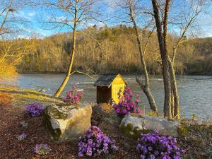 ArdenAsheville River Cabins的河边的鸟屋,花香