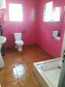 安齐拉贝Villa Caroline的粉红色的浴室设有卫生间和水槽