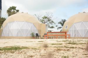女人岛Hidden Island Glamping Isla Mujeres的两顶帐篷,在沙漠中设有长凳