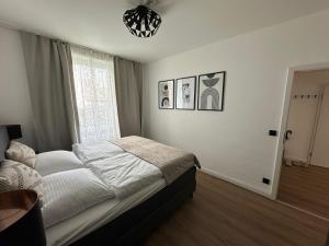 吕贝克Haus Newgate的一间卧室设有一张床、一个窗户和一个吊灯。