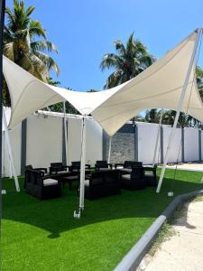 圣安德烈斯Hotel Mar de Corales By CAJASAI的草坪上的白色帐篷,配有椅子和棕榈树