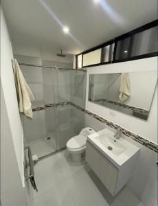 卡利Santa Lucia Lofts Duplex的浴室配有卫生间、盥洗盆和淋浴。