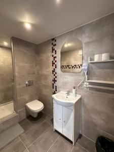 波兹南Apartamenty Gołębia-Genius的一间带水槽、卫生间和镜子的浴室
