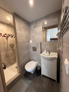 波兹南Apartamenty Gołębia-Genius的浴室配有卫生间、盥洗盆和淋浴。