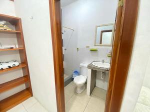 阿约拉港Ballesteros Apartaments的一间带卫生间和水槽的浴室