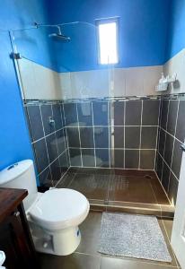 蒙泰韦尔德哥斯达黎加Private Apartment View的一间带卫生间和淋浴的浴室
