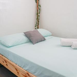圣多明各Hostel Gato Colonial的一张床上有两个枕头的房间