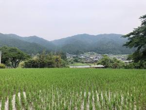 郡上市HANAMIDORI Oppara no Yado - Vacation STAY 16099的一片绿草丛,山地背景