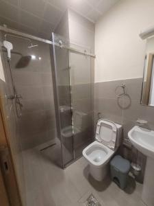 亚的斯亚贝巴Alsam Real Estate Gust House的带淋浴、卫生间和盥洗盆的浴室
