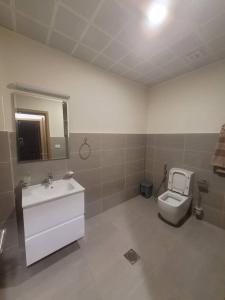 亚的斯亚贝巴Alsam Real Estate Gust House的一间带水槽、卫生间和镜子的浴室