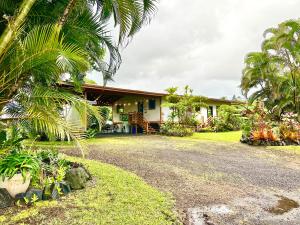 凯阿奥Home near Volcano National Park, Hilo, Kehena的前面有棕榈树的房子