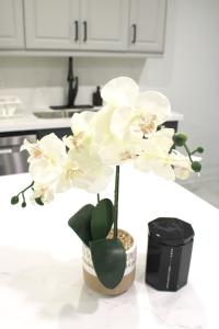 NewcastleUrban Haven: 2BR/2BA+Office, Kitchen, Dining的花盆上的白花
