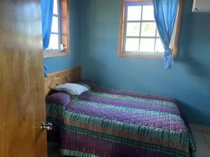 SeminetsShorrs Villas的蓝色客房中一间带床的卧室