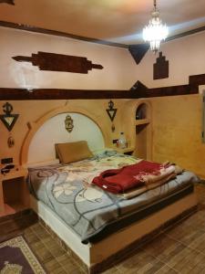 梅尔祖卡Riad family的一间卧室设有一张大床和拱形天花板