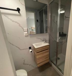 诺尔贝克Vakantiewoningen 'Hoeve de Witte Olifant'的带淋浴、盥洗盆和卫生间的浴室