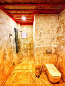 阿瓦诺斯萨克里窑洞旅馆的一间带卫生间和玻璃淋浴间的浴室