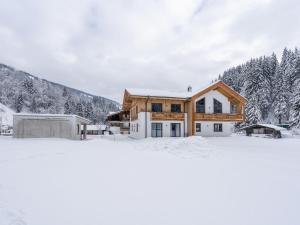 萨尔巴赫Luxury Chalet in Saalbach Hinterglemm with Sauna的雪中树下的房屋