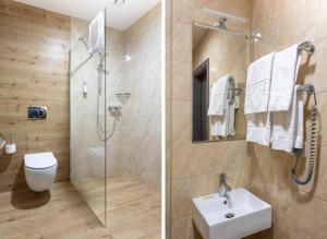 考纳斯阿尔基罗酒店的带淋浴、卫生间和盥洗盆的浴室