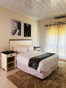 卢萨卡Kaya Apartments的一间卧室设有一张大床和一个窗户。