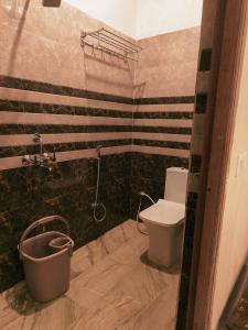 瓦拉纳西Sky Inn paying guest house的一间带卫生间和浴缸的浴室