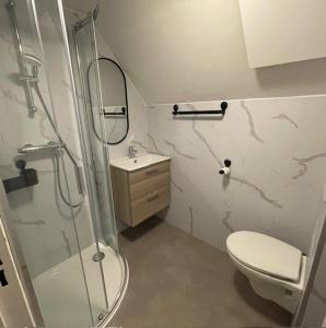 诺尔贝克Vakantiewoningen 'Hoeve de Witte Olifant'的带淋浴、卫生间和盥洗盆的浴室