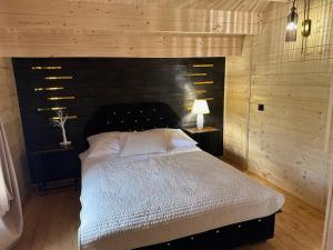 库多瓦-兹德鲁伊Parkowy Kudowa的一间卧室配有一张大床和黑色床头板