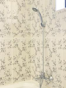 布拉瓦约Cumberland Guest Lodge的带淋浴喷头的浴室