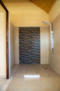 安齐拉贝Mahafaly Hotel & Resort的一间设有砖墙淋浴的浴室