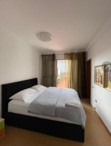 地拉那ALBJONA GUESTHOUSE TIRANA的一间卧室设有一张大床和窗户