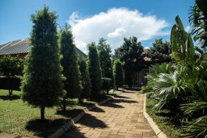 安齐拉贝Mahafaly Hotel & Resort的一座种植了树木的花园,一条砖砌的步道
