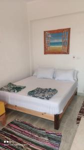 Panorama Lodge Nuweiba客房内的一张或多张床位