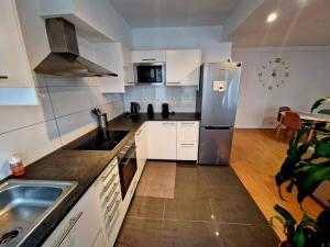 布鲁塞尔Le cocon du midi - Appartement Cosy的厨房配有不锈钢冰箱和水槽