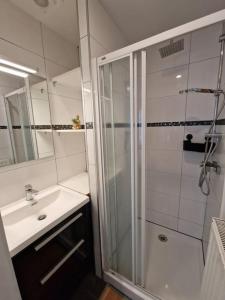 布鲁塞尔Le cocon du midi - Appartement Cosy的带淋浴和盥洗盆的浴室