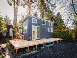 皮滕vakantiehuisje Tiny house met sauna in de bossen van de Veluwe的坐在木甲板上的一个小房子