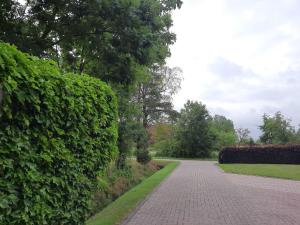 IhlowFeWo Bohlen-Wieke的绿色树 ⁇ 旁的砖砌走道