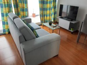 奥尔塔Residência Machado的带沙发和平面电视的客厅