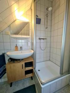 OesterdeichstrichFerienwohnung EINS nähe Büsum的一间带水槽和淋浴的浴室