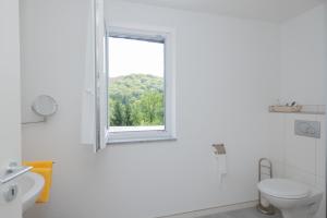 奥登塔尔Märchenwald Altenberg B&B Hotel的白色的浴室设有窗户和卫生间。