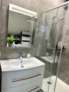 帕艾维坡斯特Magnifique Appartement Neuf, 5 Min Orly - Climatisé的浴室配有盥洗盆和带镜子的淋浴