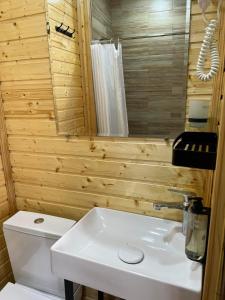 库塔伊西Hotel Eurica的浴室配有白色卫生间和盥洗盆。